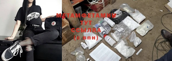 прущие грибы Гусев