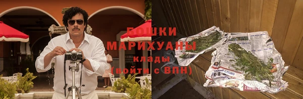 прущие грибы Гусев