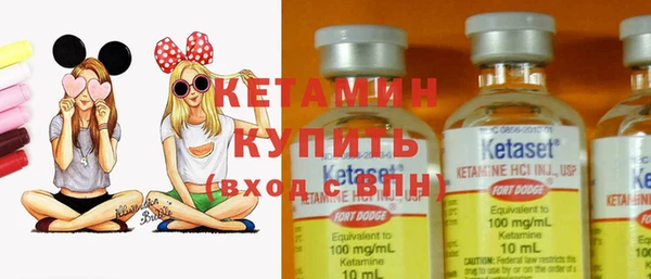 прущие грибы Гусев