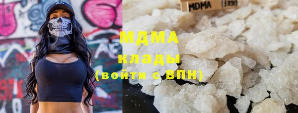 прущие грибы Гусев