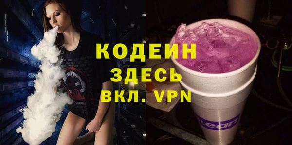 прущие грибы Гусев