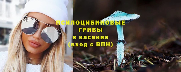 круглые Гусь-Хрустальный