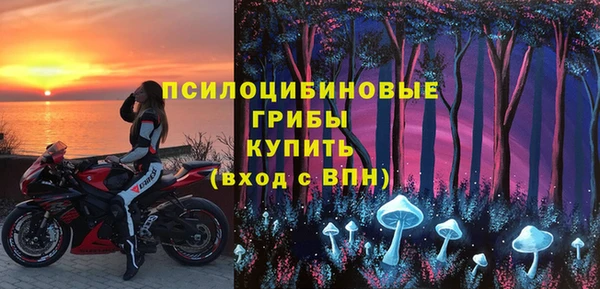 прущие грибы Гусев