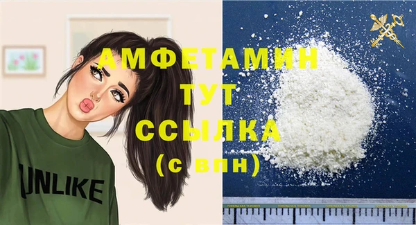 прущие грибы Гусев