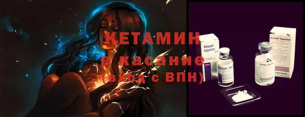 прущие грибы Гусев