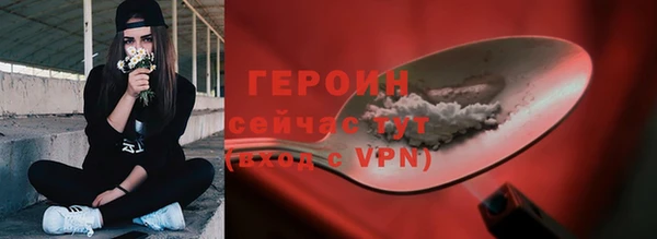 прущие грибы Гусев