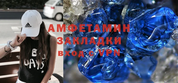 прущие грибы Гусев