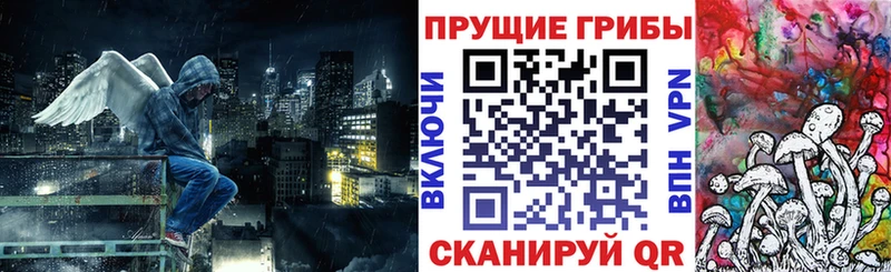 Псилоцибиновые грибы прущие грибы  Купить закладки  Ирбит 
